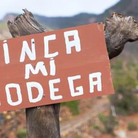 דירה Live Mi Bodega *