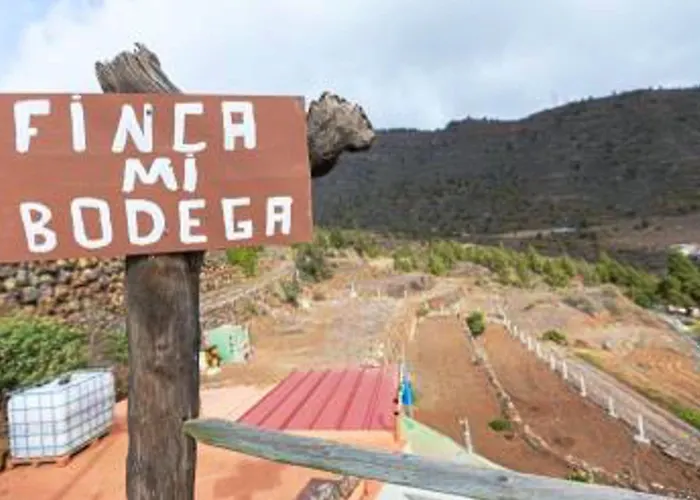 Apartmán Live Candelaria Mi Bodega *
