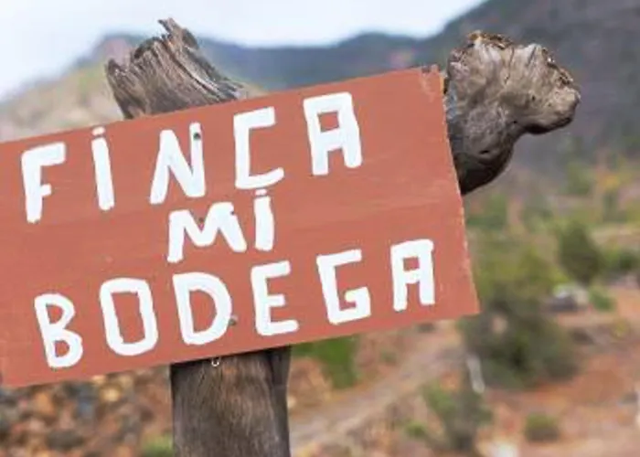 Apartmán Live Candelaria Mi Bodega *